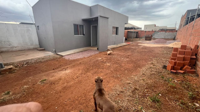 Foto cadastro cód. 115