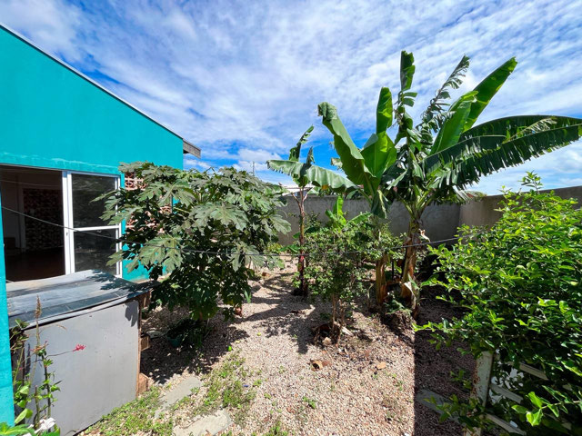 Foto cadastro cód. 156