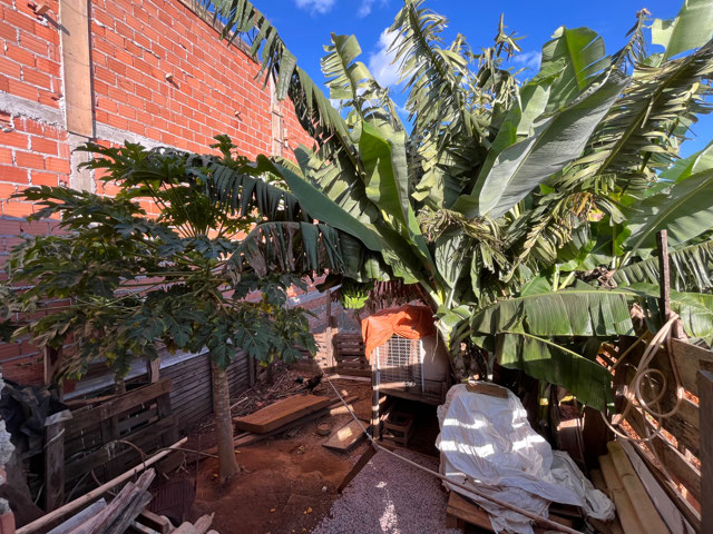 Foto cadastro cód. 38