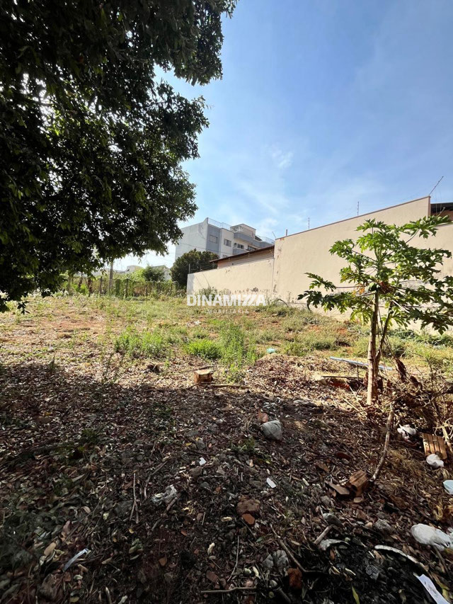 Foto cadastro cód. 5377