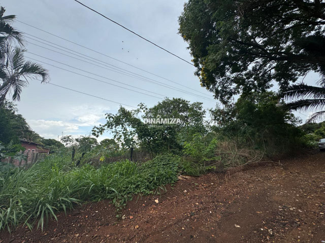 Foto cadastro cód. 5534