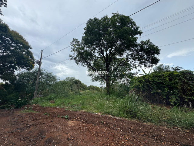 Foto cadastro cód. 5534