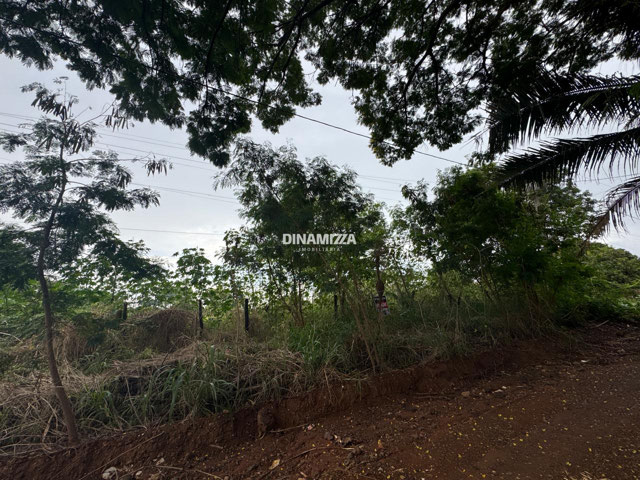 Foto cadastro cód. 5534