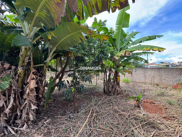 Foto cadastro cód. 5825