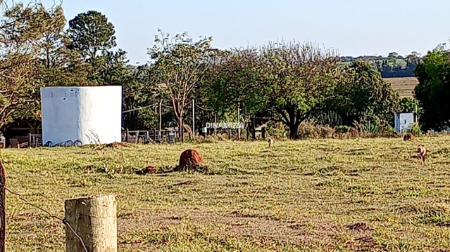 Foto cadastro cód. 6284
