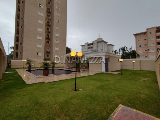 Foto cadastro cód. 100