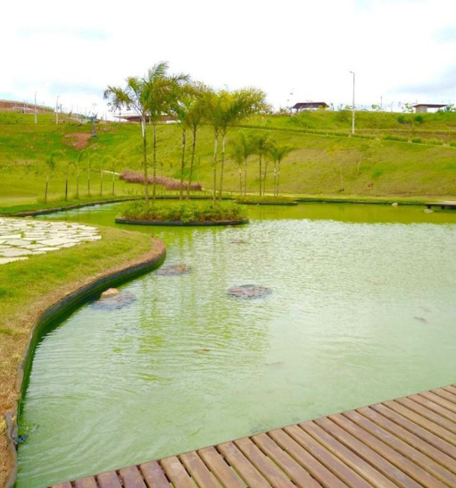 Lago com Peixes na Entrada