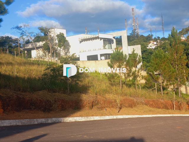Lote