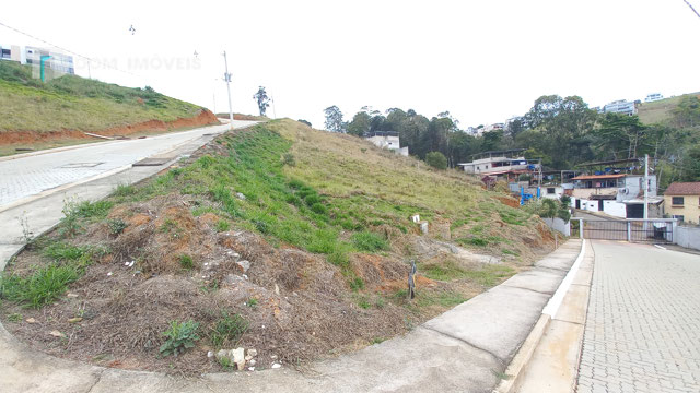 Vista lotes 20-21-22