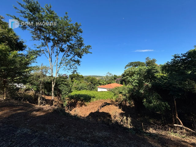 LOTE