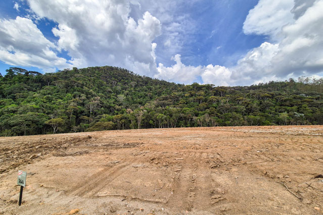 Foto cadastro cód. 1903