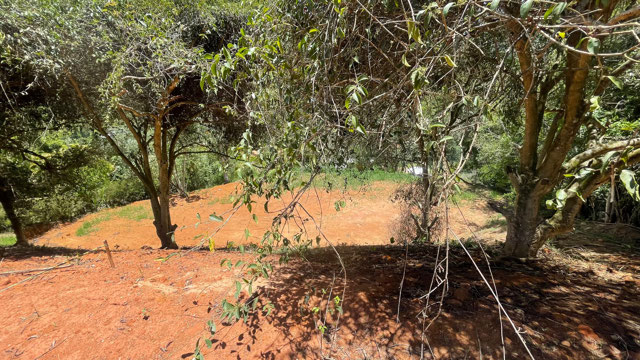 Foto cadastro cód. 1912