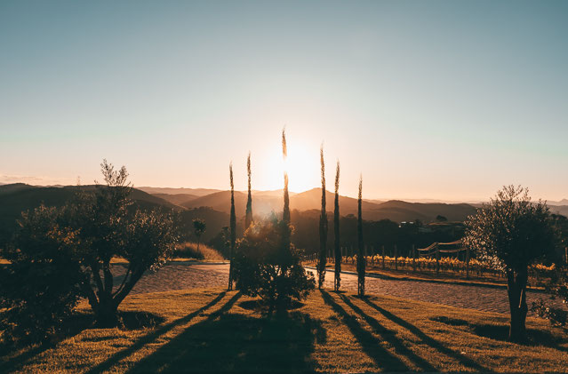 Foto cadastro cód. 776