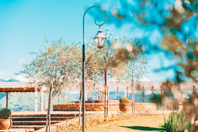 Foto cadastro cód. 777