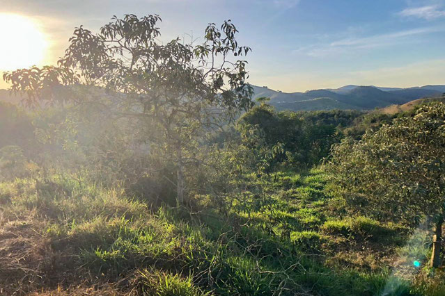 Foto cadastro cód. 982