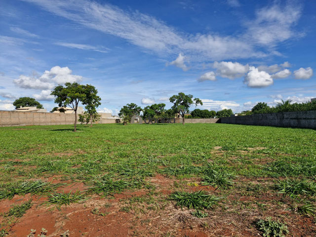 Foto cadastro cód. 1487