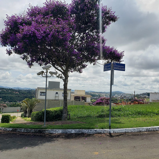 Foto cadastro cód. 10044