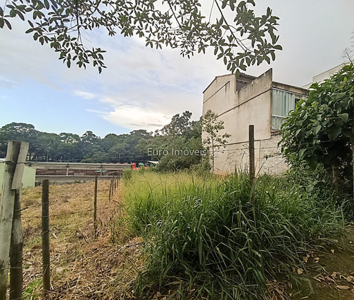 Foto cadastro cód. 10896