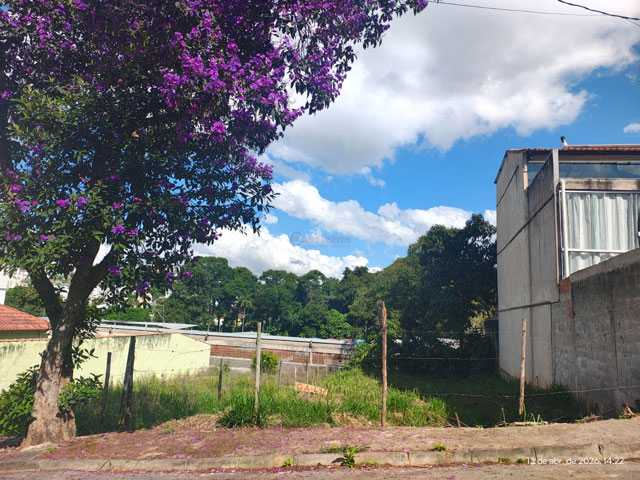 Foto cadastro cód. 10896