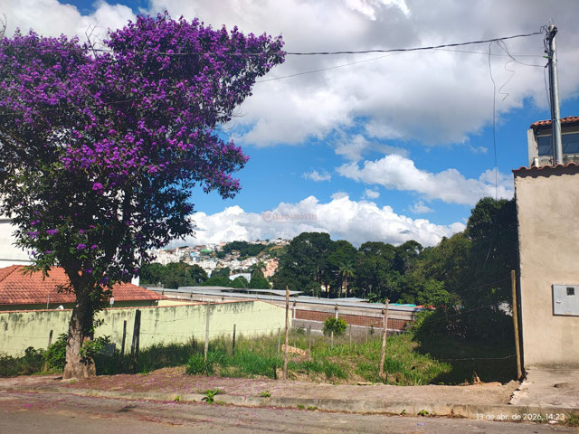 Foto cadastro cód. 10896