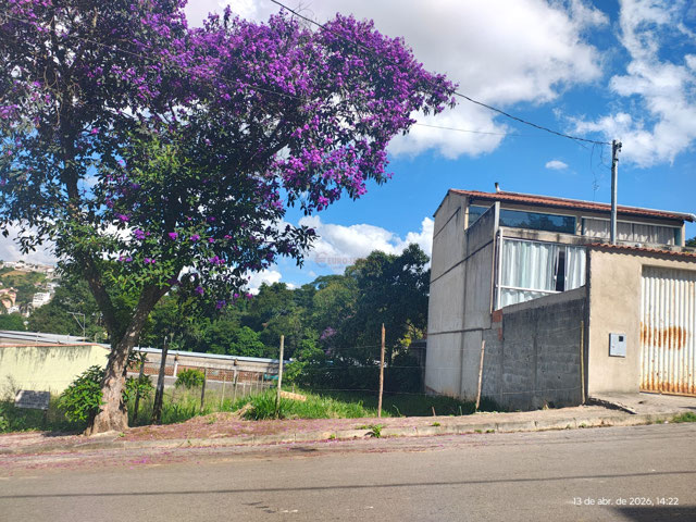 Foto cadastro cód. 10896