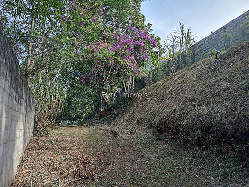 Foto cadastro cód. 11028