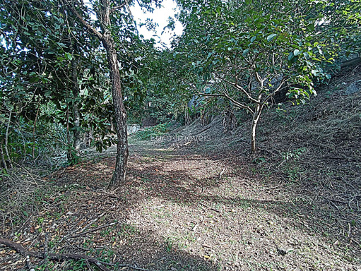 Foto cadastro cód. 11028