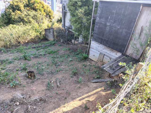 Foto cadastro cód. 11789