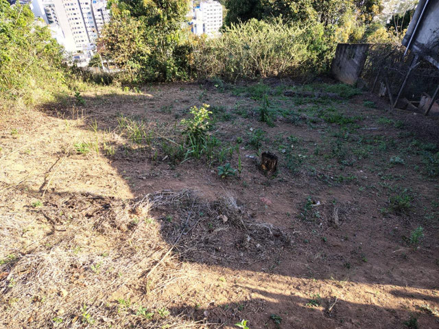 Foto cadastro cód. 11789