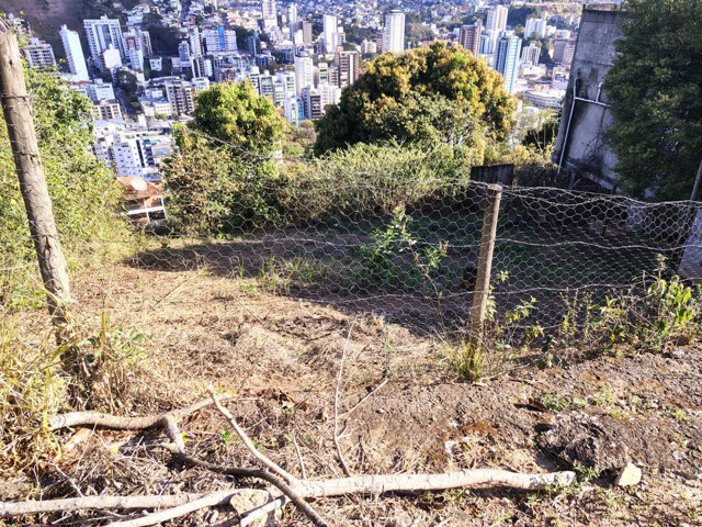 Foto cadastro cód. 11789