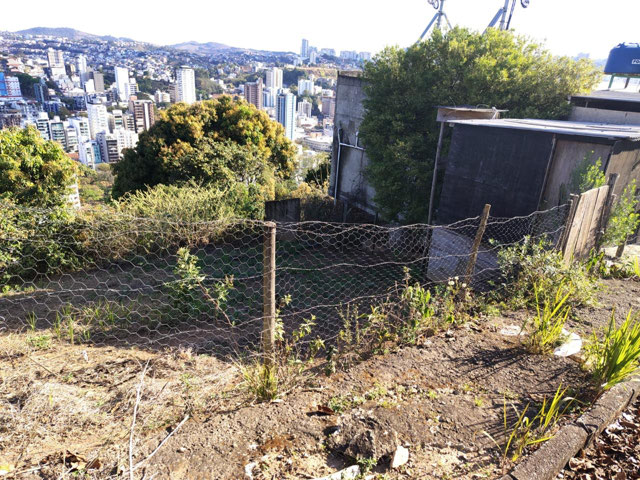 Foto cadastro cód. 11789