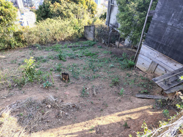 Foto cadastro cód. 11789