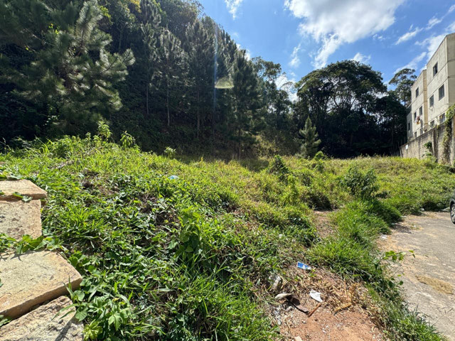 Foto cadastro cód. 12056