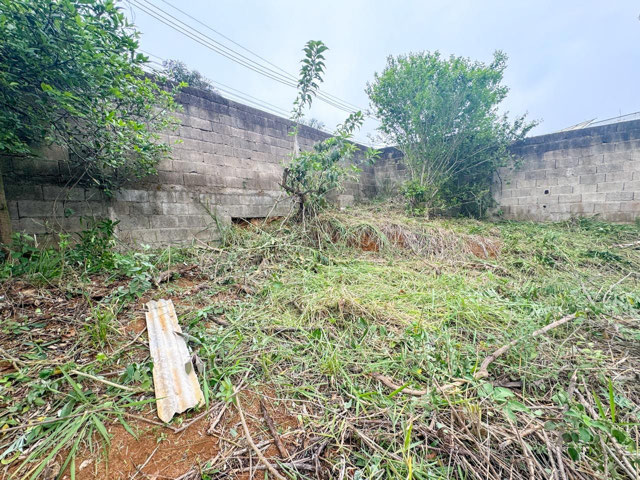 Foto cadastro cód. 12062