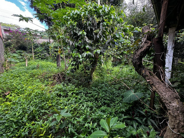 terreno