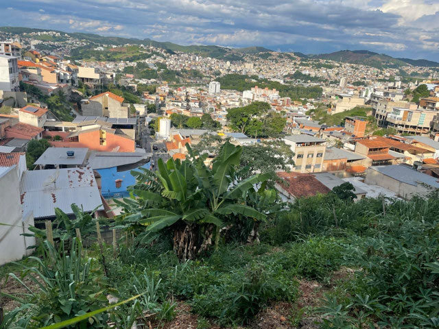 terreno