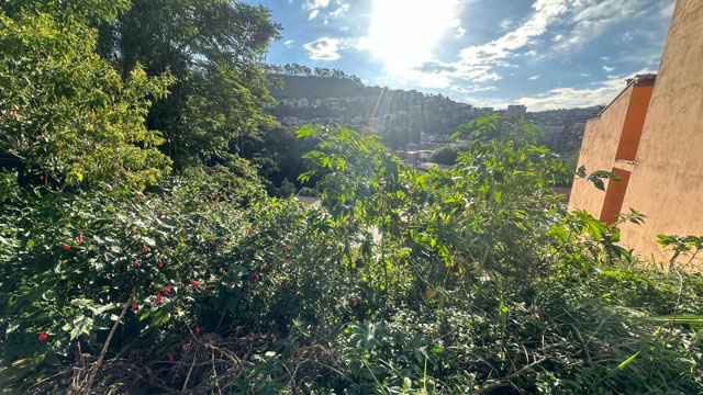 Foto cadastro cód. 12245