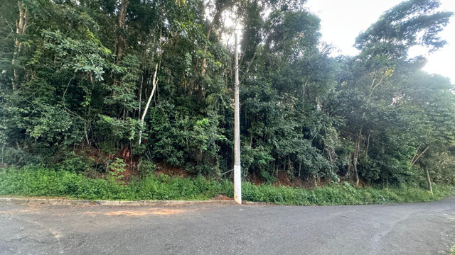 Foto cadastro cód. 12254