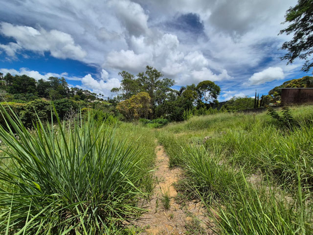 Foto cadastro cód. 12297