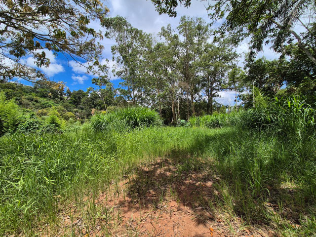 Foto cadastro cód. 12297