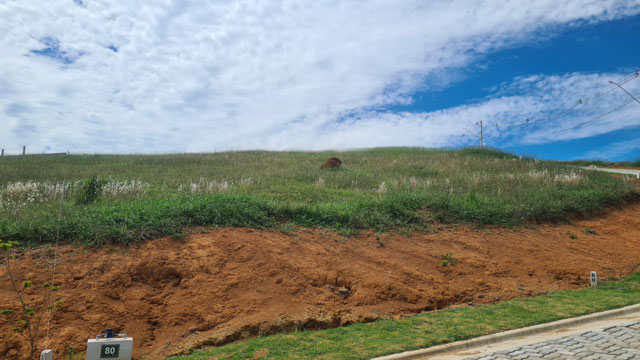 Foto cadastro cód. 12307