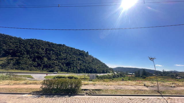 Frente