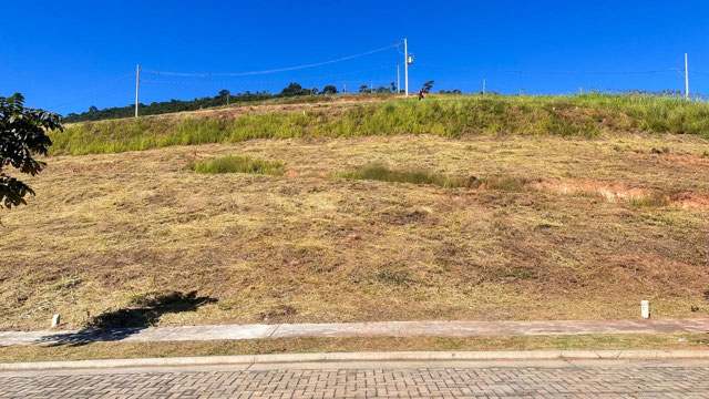 Frente