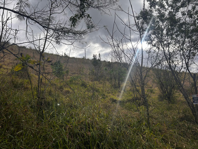 Foto cadastro cód. 12594