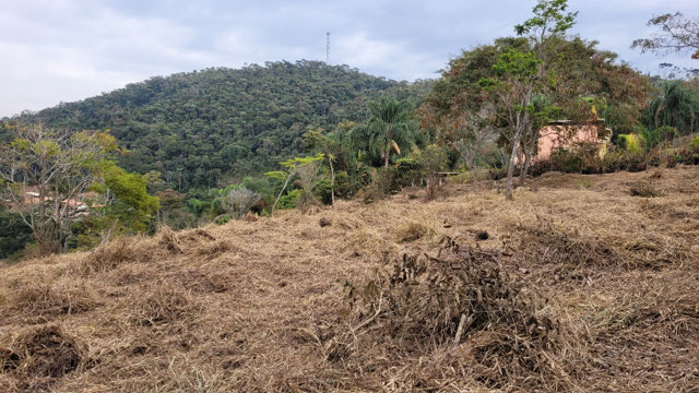 Foto cadastro cód. 12641