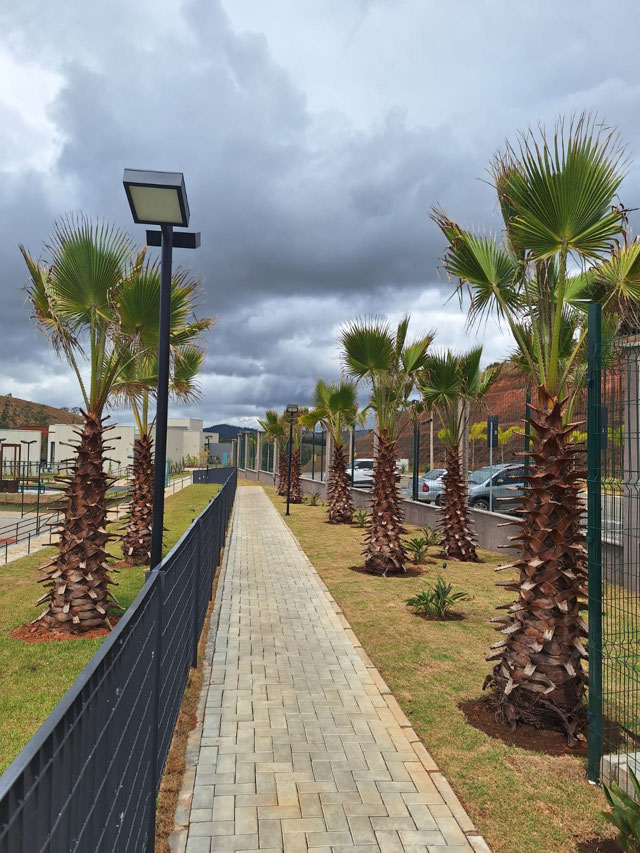 Foto cadastro cód. 12700