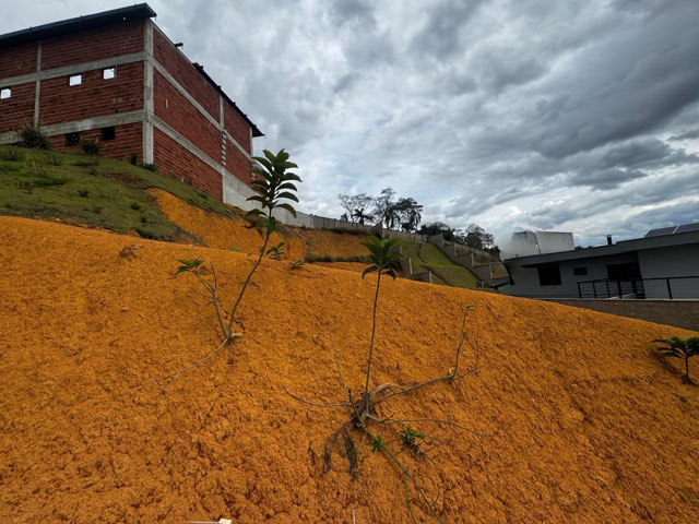 Foto cadastro cód. 12715