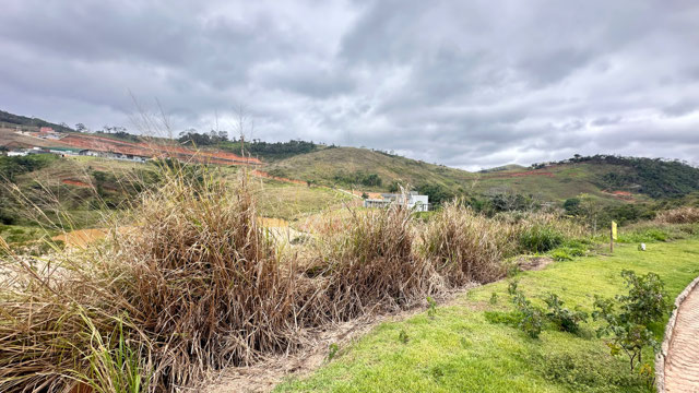 Foto cadastro cód. 12724