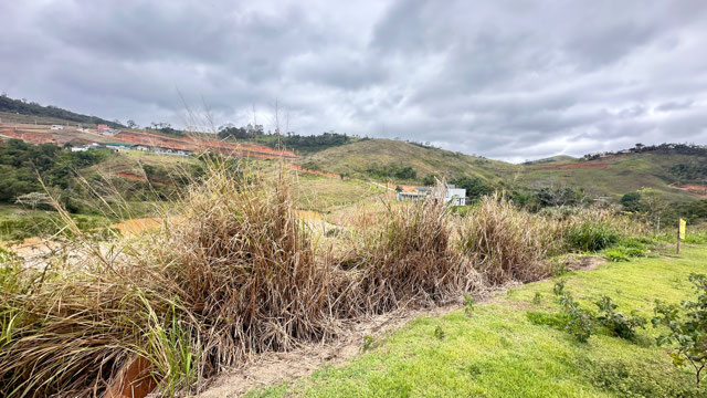 Foto cadastro cód. 12724