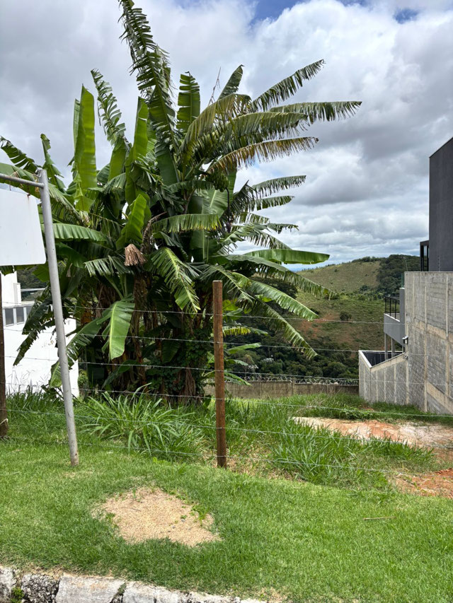 Foto cadastro cód. 12764